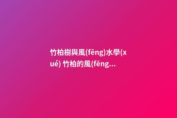 竹柏樹與風(fēng)水學(xué) 竹柏的風(fēng)水禁忌有哪些